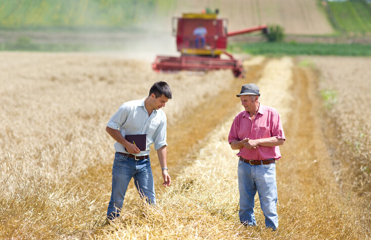 Revendas agrícolas viram “banco” no campo e recorrem à securitização para manter o crescimento
