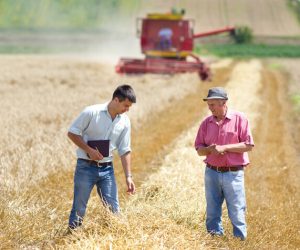 Revendas agrícolas viram “banco” no campo e recorrem à securitização para manter o crescimento